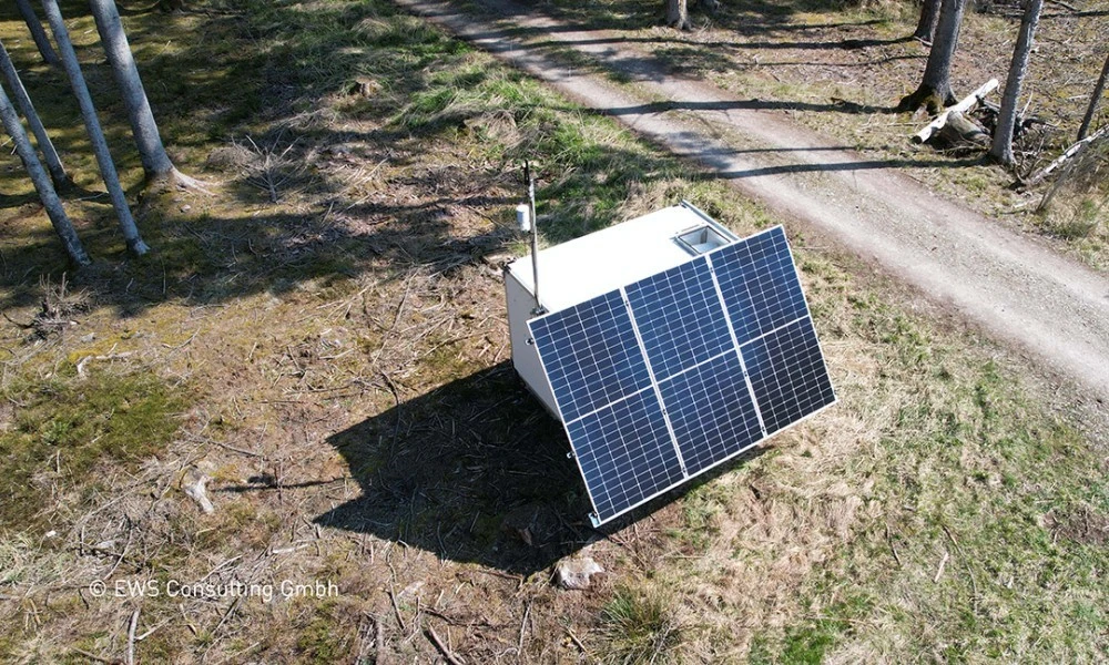 LiDAR-Messung Waldstandort