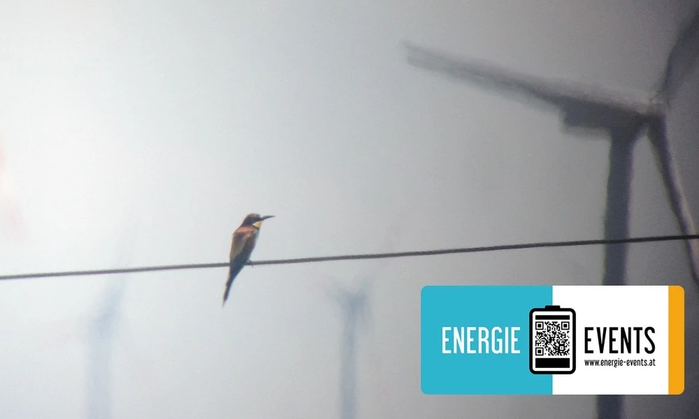 Vogel und Windrad, Energie Events