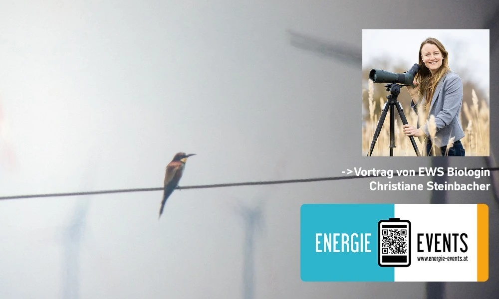 Vögel und Windräder, Energie Events mit Nane Steinbacher