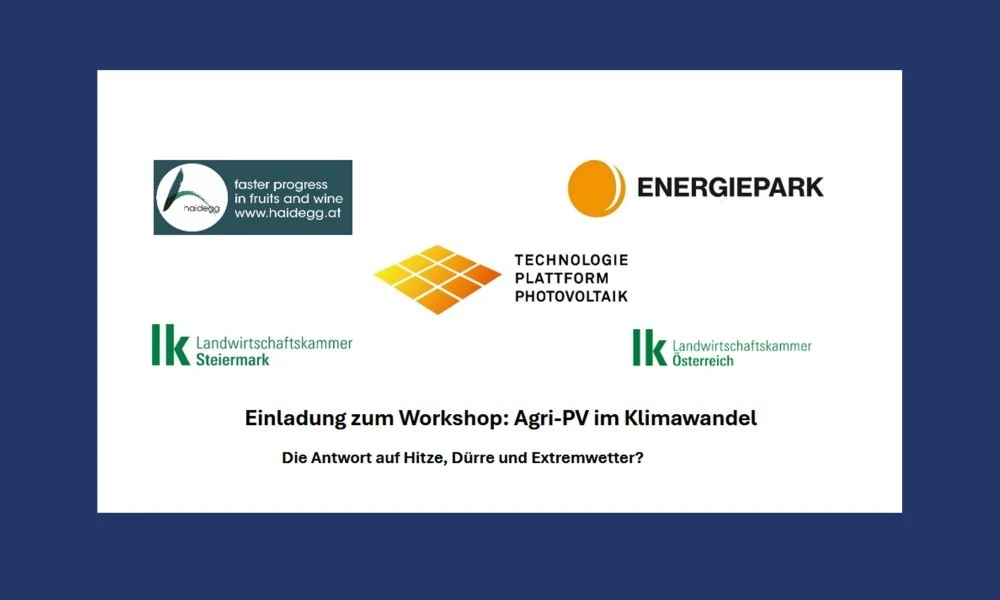 workshop_apv.jpg