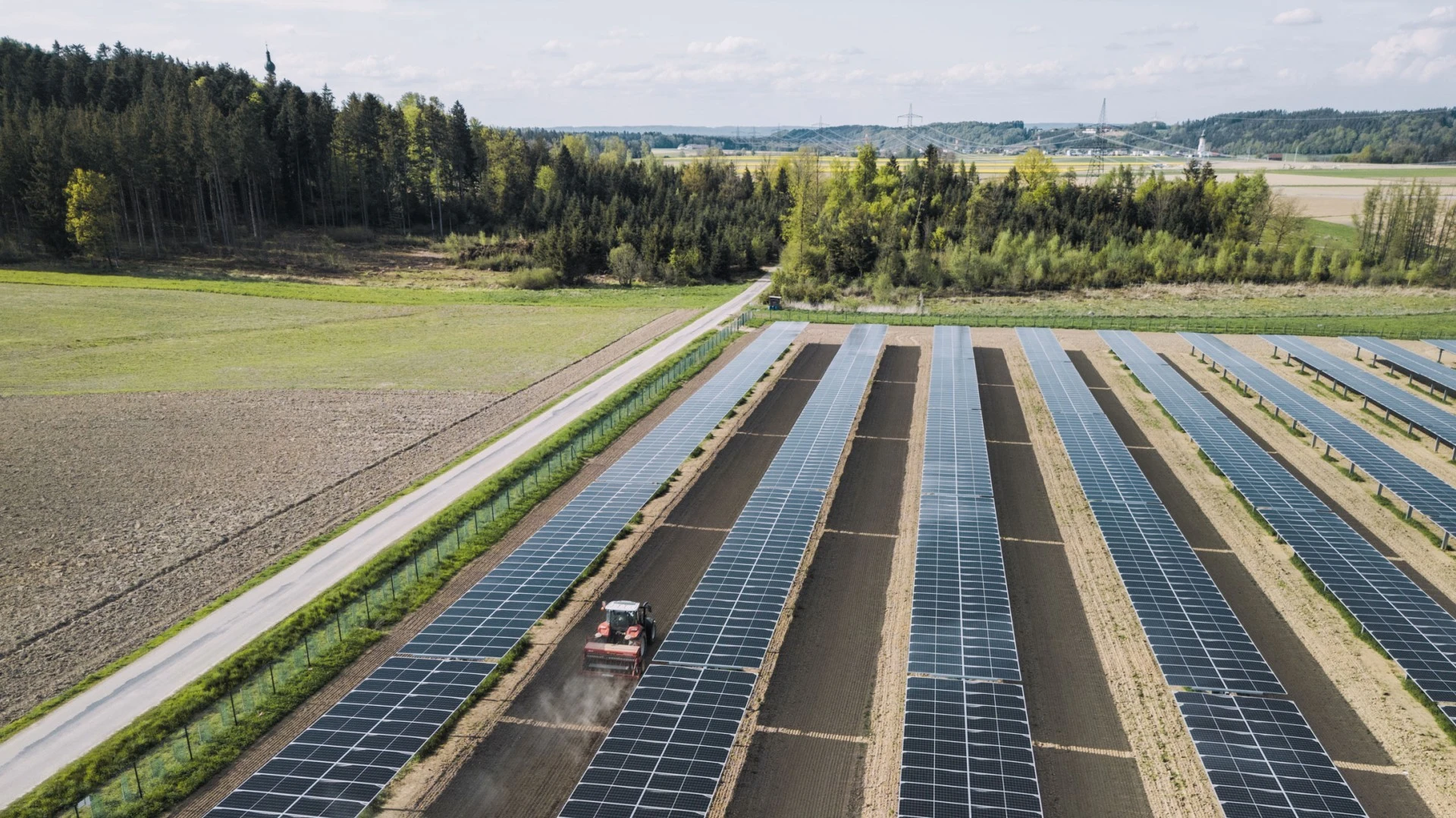 Ernte am EWS Sonnenfeld Pischelsdorf am Engelbach