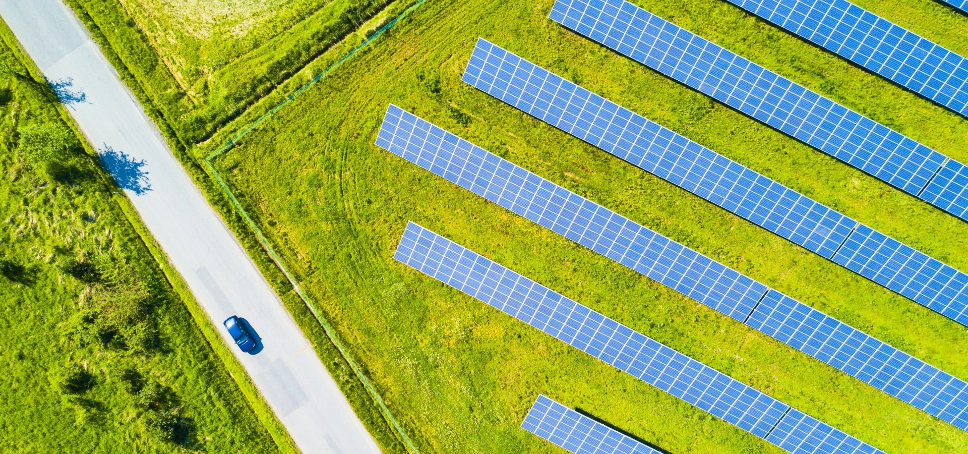 20191017_shutterstock_pv_feld_gruen_1053283946