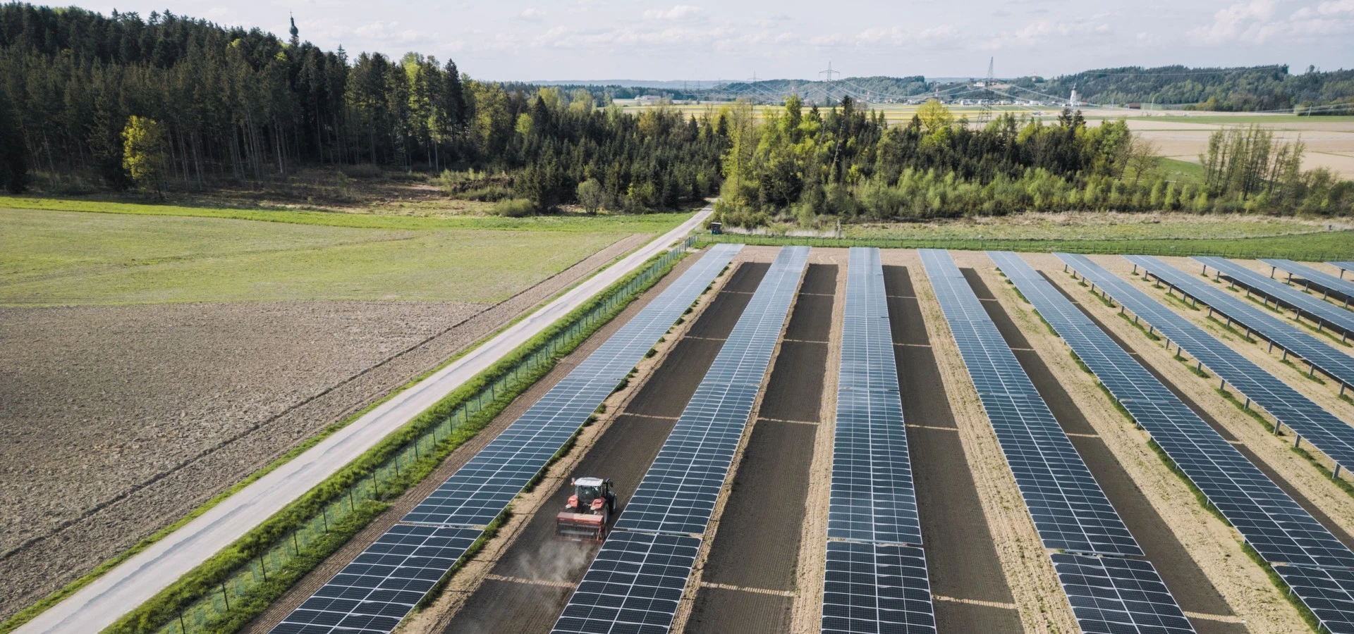 Ernte am EWS Sonnenfeld Pischelsdorf am Engelbach