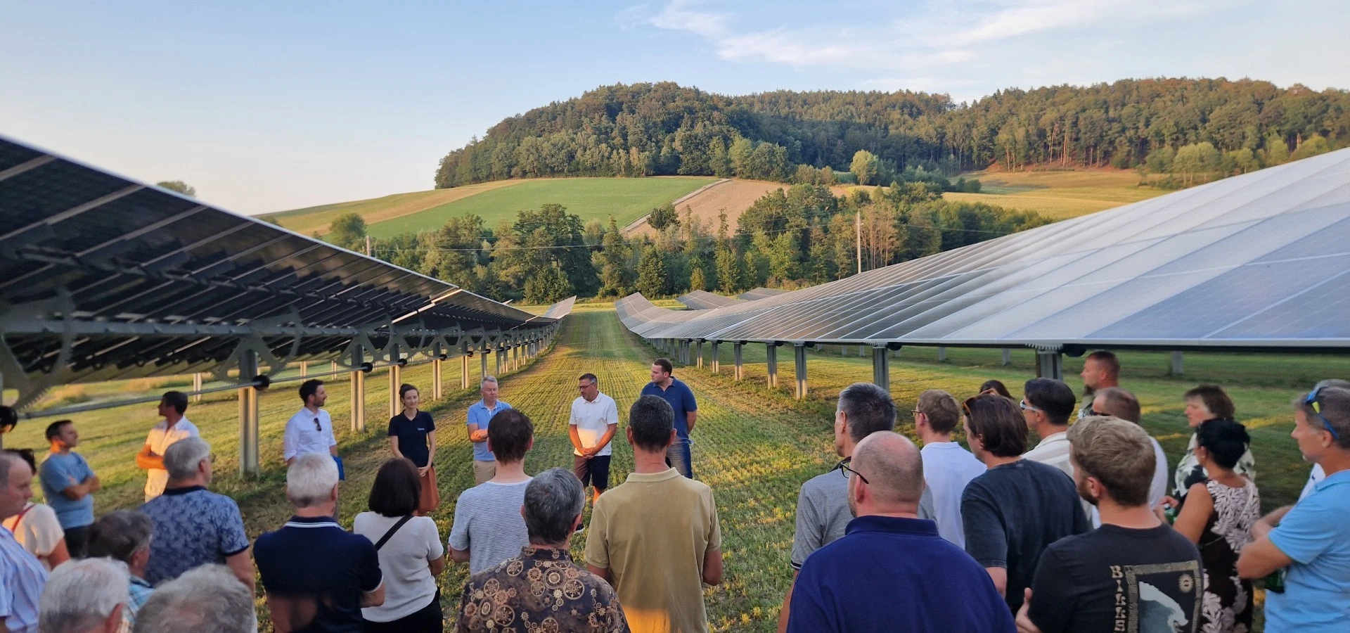 Landwirtschaft und Solarstromstromerzeugung effizient kombiniert am EWS Sonnenfeld®