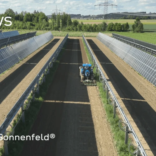 EWS Sonnenfeld Pischelsdorf, Ansaat 2026