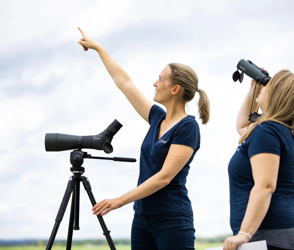 Ornithologische Erhebungen