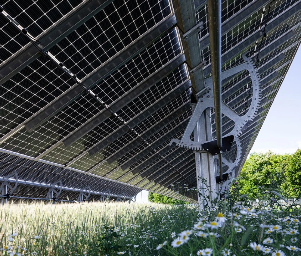 EWS Sonnenfeld - Nachgeführte Modultische
