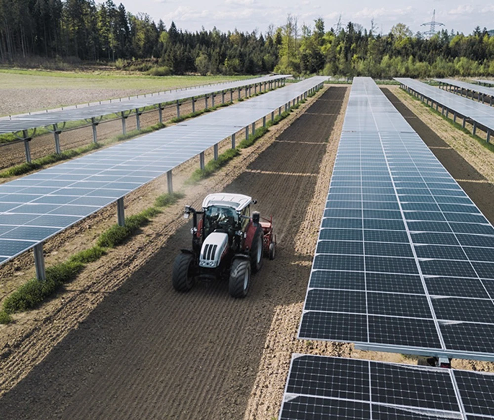 Doppelernte bringt Zusatzerlöse und Perspektive für Landwirt:innen