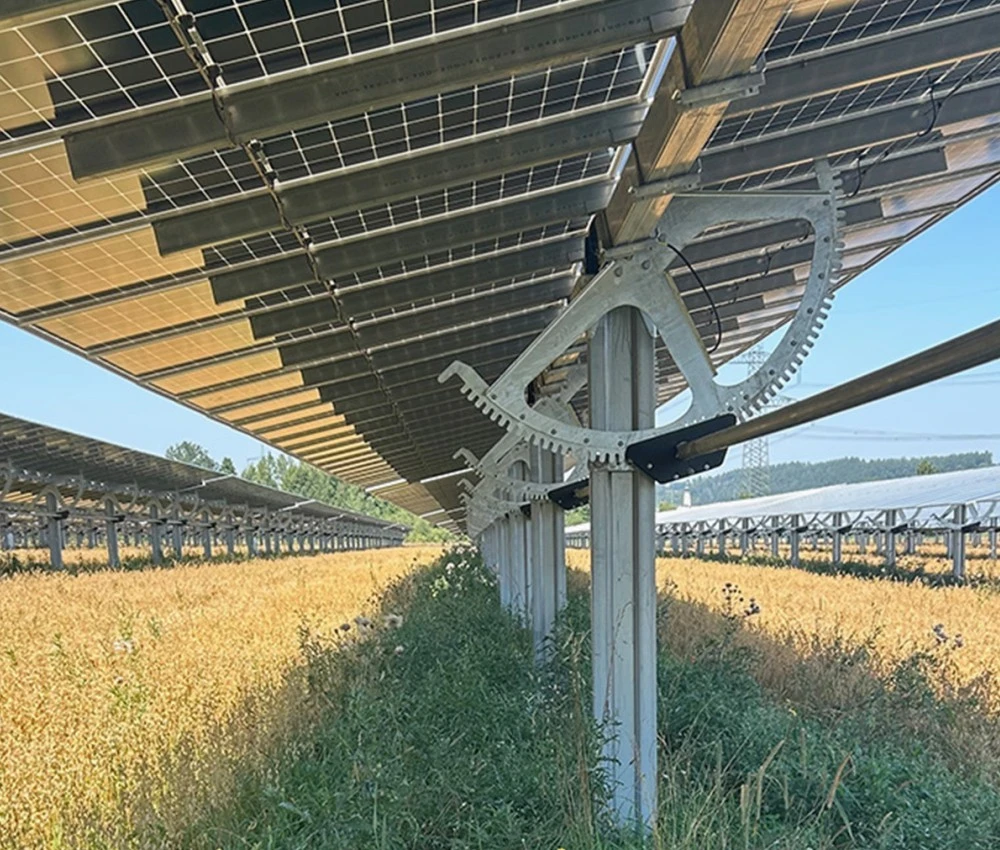 Blühstreifen unter den PV-Modulen steigern die Biodiversität 