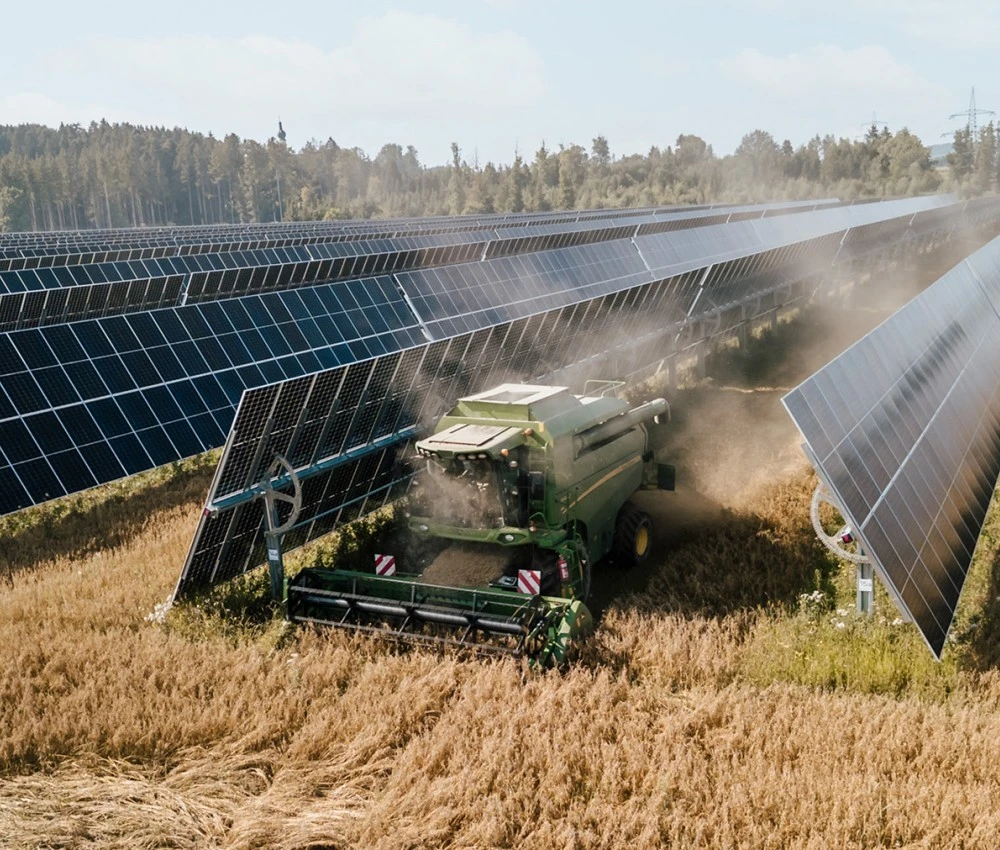 2025: Erste Ernte am Sonnenfeld Pischelsdorf. Steuerbare PV-Tracker erleichtern die maschinelle Bewirtschaftung.