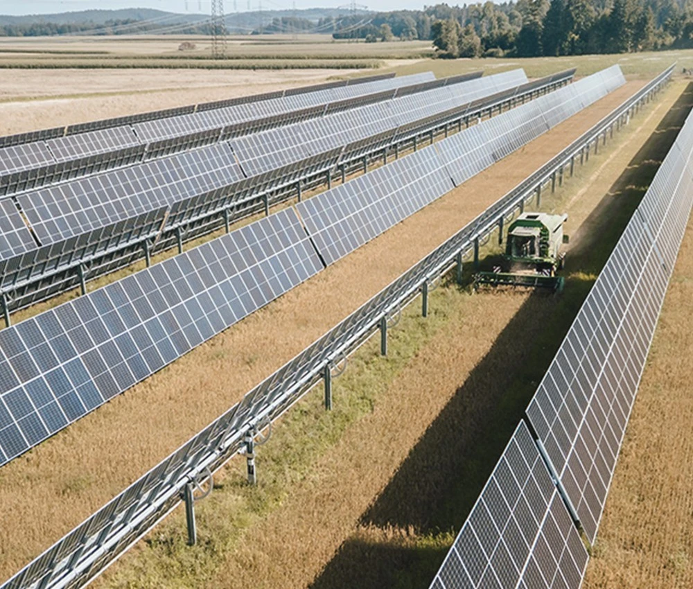 EWS Sonnenfeld Pischelsdorf: Haferernte 2025