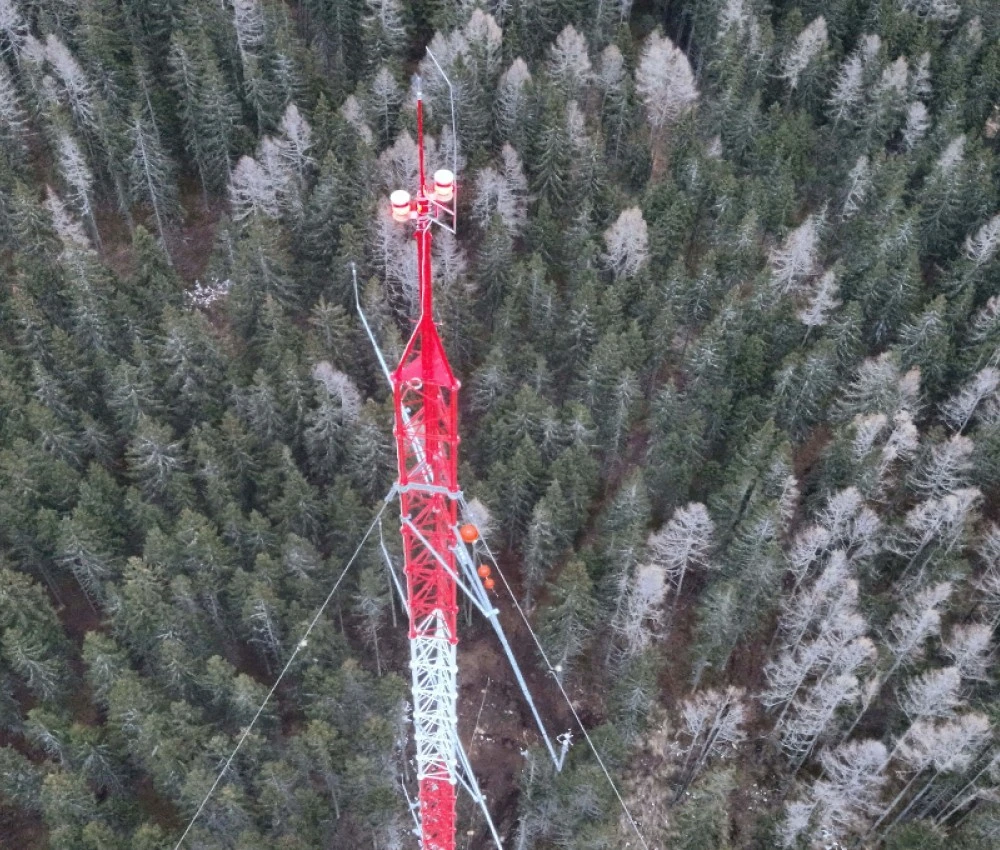 100m Windmessmast im Wald