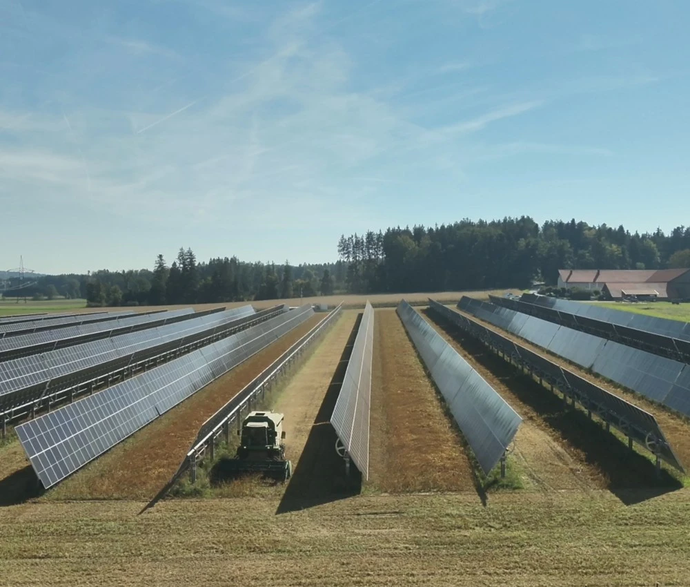 Sojaernte 2026 am EWS Sonnenfeld Pischelsdorf, OÖ Sojaernte 2026 am EWS Sonnenfeld Pischelsdorf, OÖ